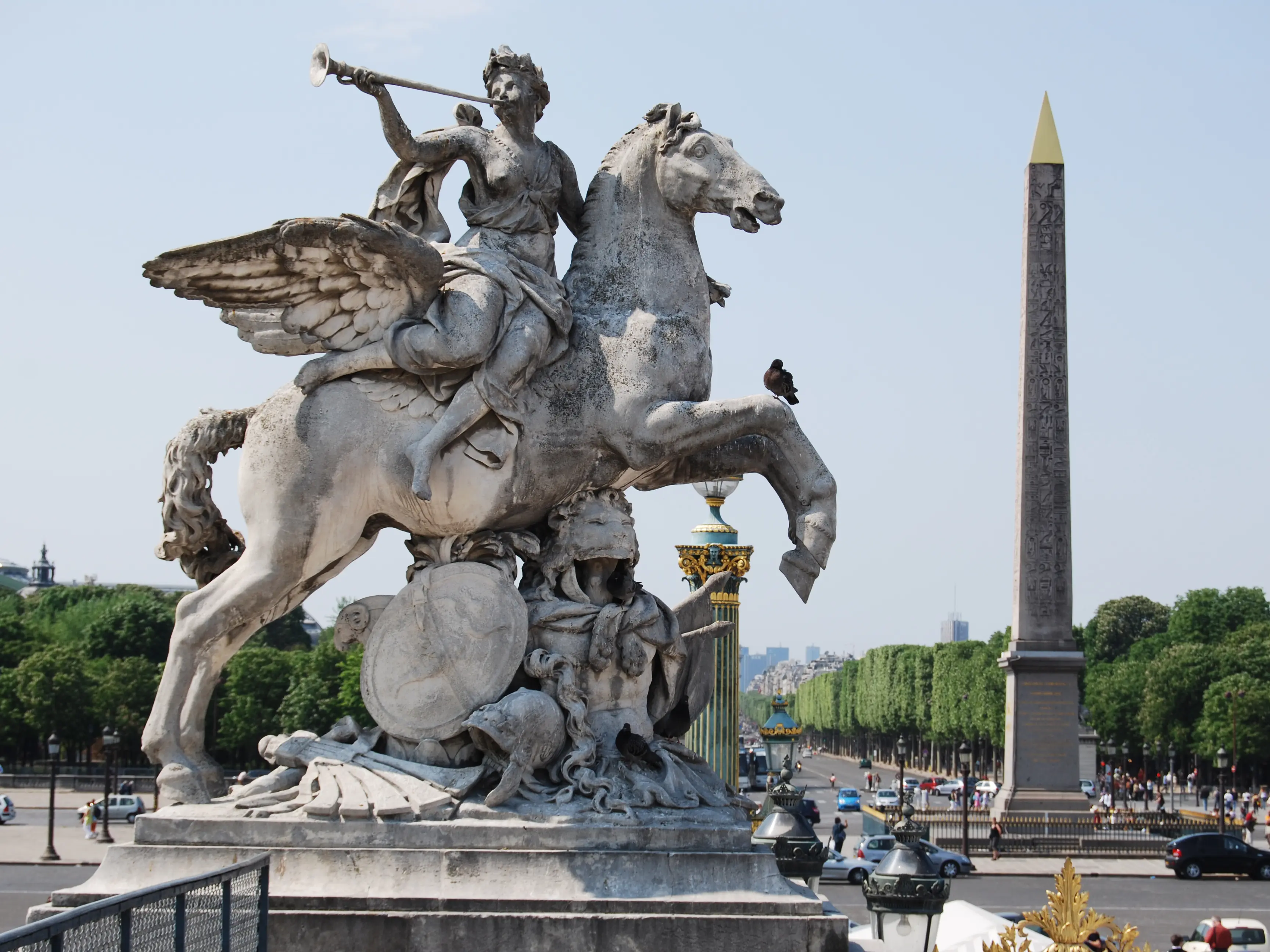 Portfolio Cover Photo